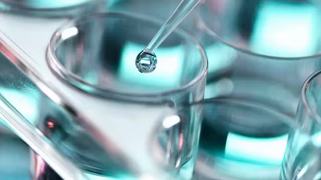 Understanding PFAS Forevever Chemicals and Their Dangers PFAS and health 7 25